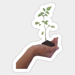 Permaculture Sticker